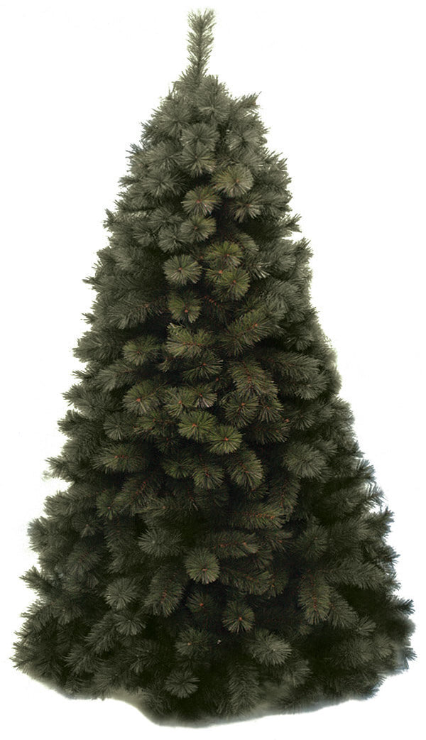 Sapin de Noël en vrai pin vert acquista