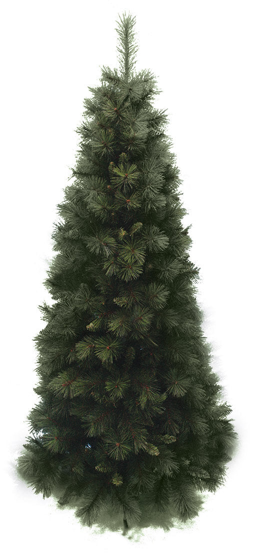 prezzo Sapin de Noël fin du Grand Paradis