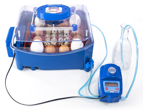 Incubateur et humidificateur automatique Borotto Lumia 16 Expert acquista