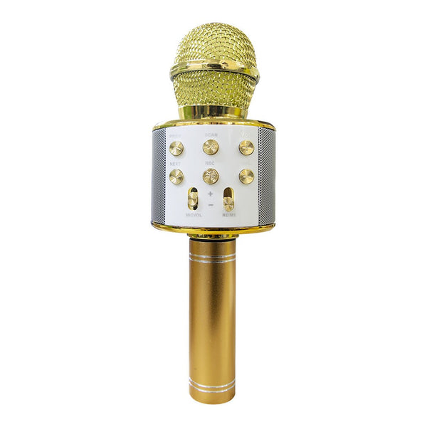 Haut-parleur hifi microphone sans fil enregistrez et écoutez vos chansons Golden online