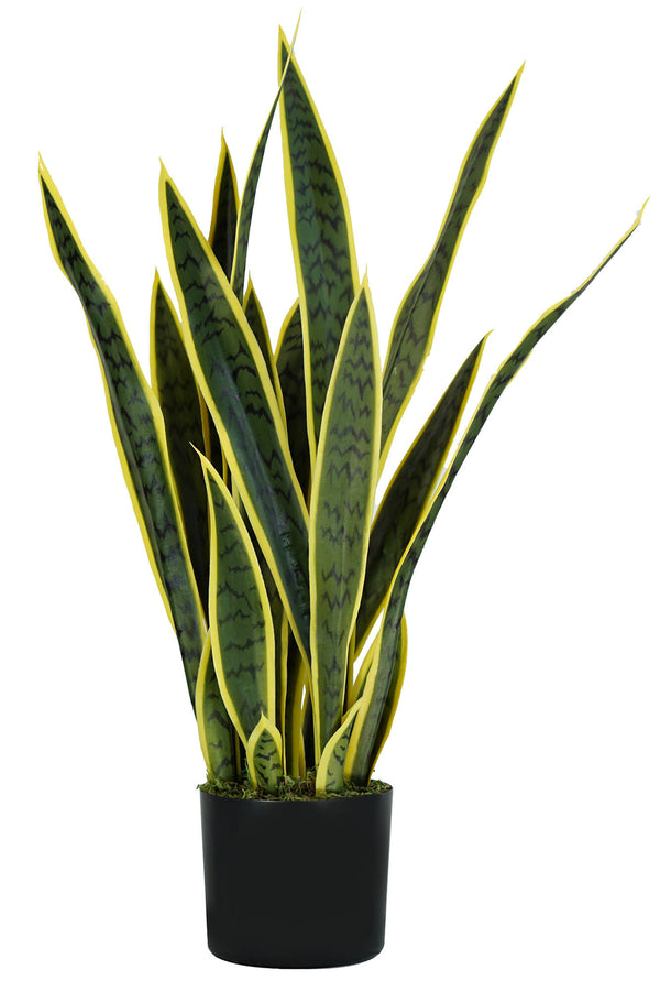 Plante Artificielle Sansevieria H75 cm avec Pot Vert sconto