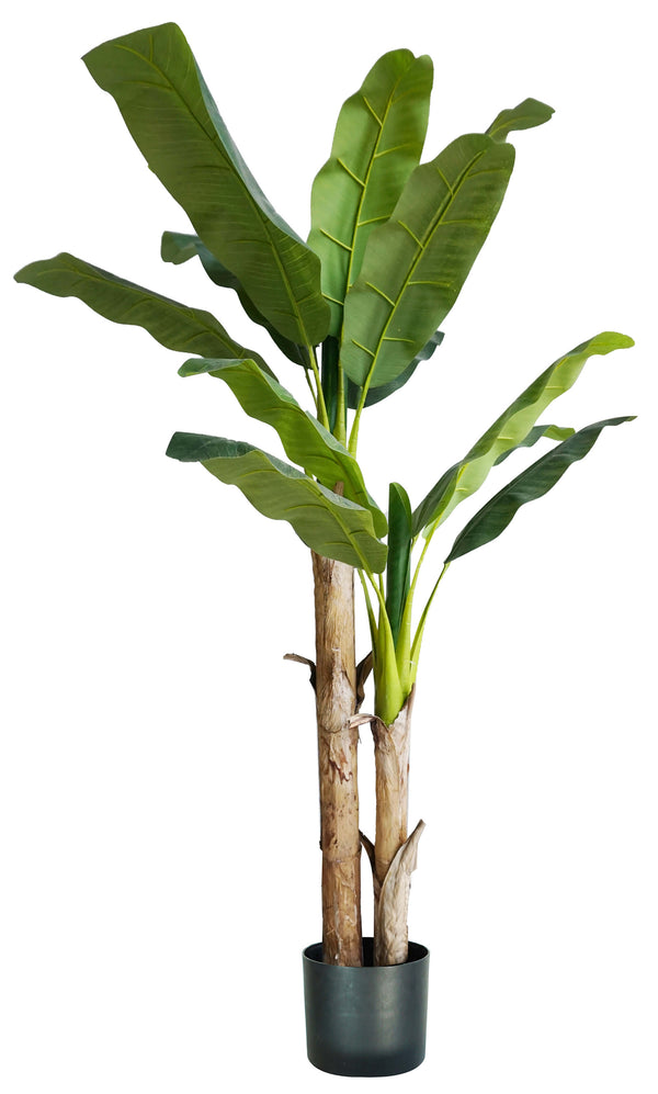 Bananier Artificiel H170 cm avec Pot Vert acquista