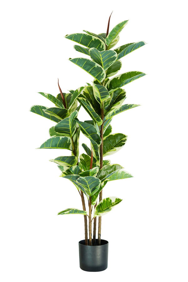 sconto Plante Artificielle Ficus Elastica H145 cm avec Pot Vert