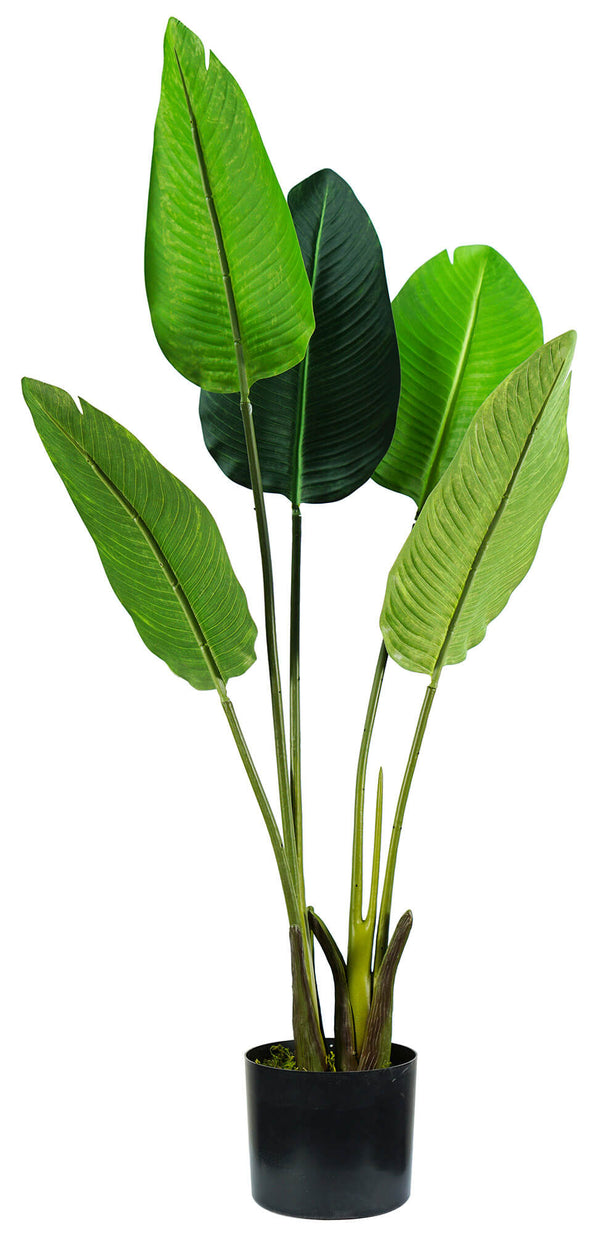 sconto Plante Artificielle Strelitzia H100 cm avec Pot Vert