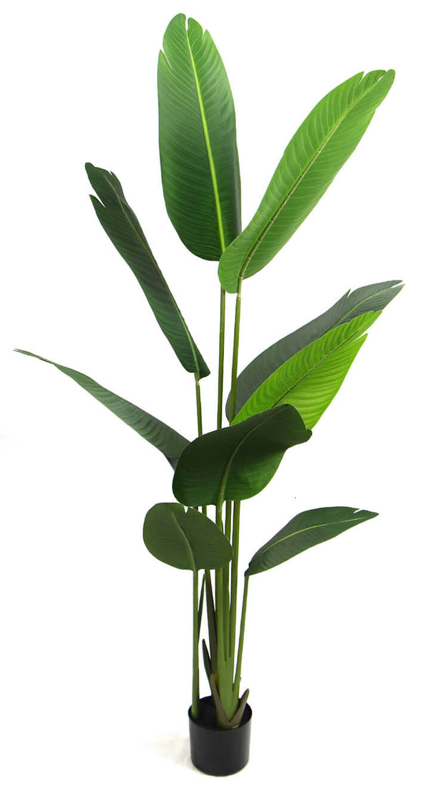 Plante Artificielle H160 cm Banane avec Pot Vert sconto
