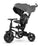 Tricycle pliant à pousser pour enfants avec poignée réglable Qplay Rito Star Noir