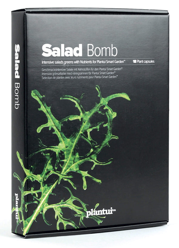 acquista Lot de 6 Graines de Salade pour Culture Hydroponique Plantui Salad Bomb