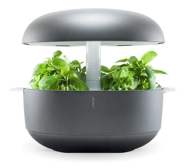 Plantui 6 Smart Garden Système hydroponique Led gris pour la culture hydroponique prezzo