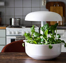 Sistema Idroponico a Led per Coltivazione Idroponica Plantui 6 Smart Garden Bianco-3