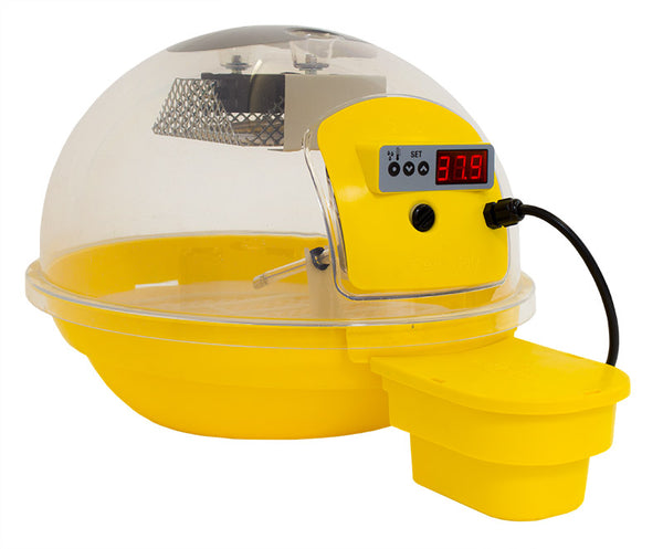 Incubateur d'œufs numérique intelligent 24 jaune prezzo