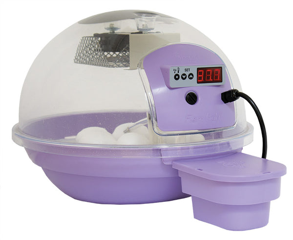 Incubateur d'œufs numérique intelligent 24 lilas prezzo