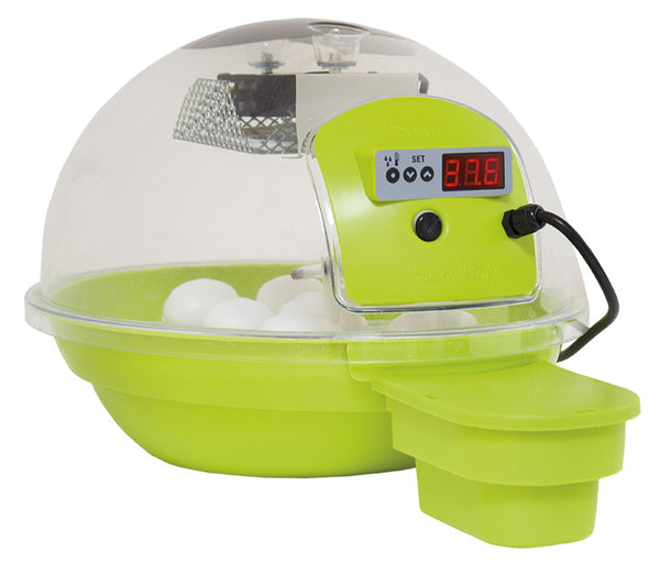 Incubateur d'œufs numérique intelligent 24 vert prezzo