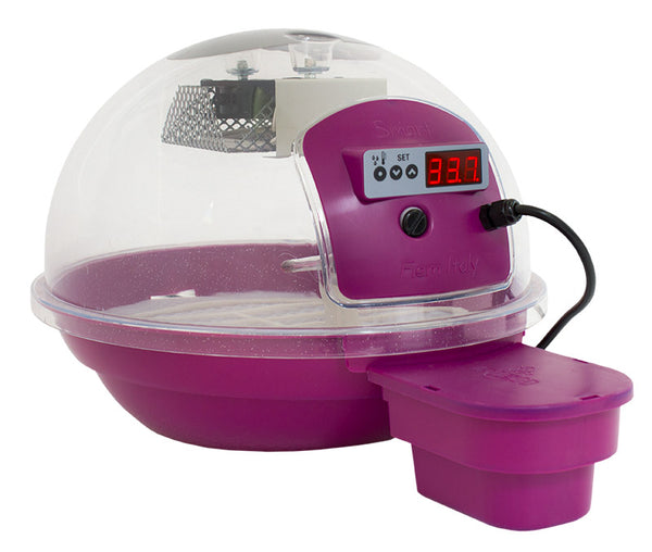 sconto Incubateur d'œufs numérique intelligent 24 violet