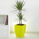 Vaso 36x36x50cm in Polietilene Vanossi Hydrus Verde Acido-2