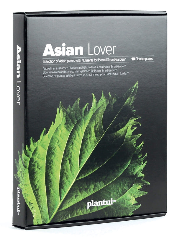 acquista Pack de 6 Graines d'Herbes Exotiques pour Culture Hydroponique Plantui Asian Lover