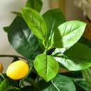 Set 2 Piante Artificiali di Limone e Arancia H120 cm con Vaso Verde-8