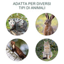 Trappola per Animali Vivi 81x26x34,5 cm in Acciaio Argento-4