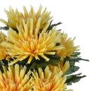 Set 2 Crisantemo Fuji Spider con 12 Fiori H 52 cm-3