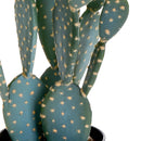 Pianta Artificiale Cactus Opunthia con Vaso H 56 cm-4