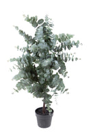 Pianta Artificiale Eucalyptus in Vaso H 110 cm-1