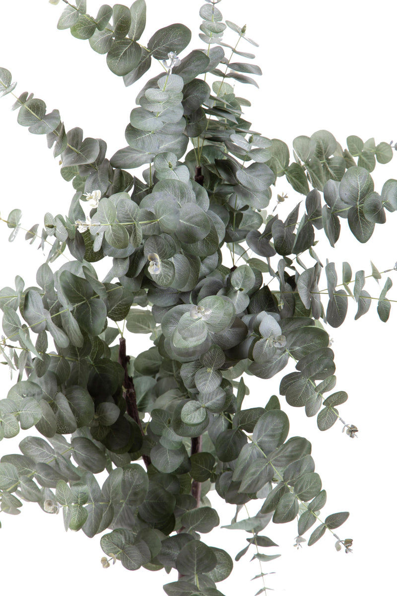 Pianta Artificiale Eucalyptus in Vaso H 110 cm-2