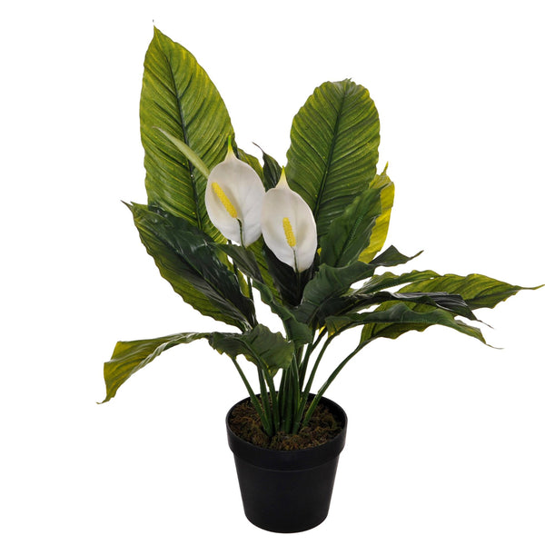 Plante Spathipilium artificielle avec pot H 65 cm acquista