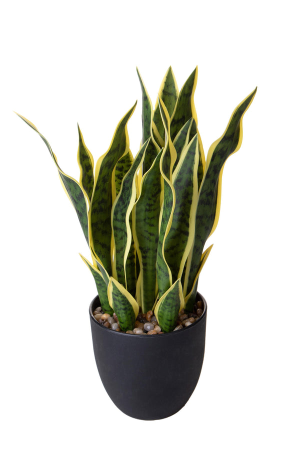 Plante artificielle Sanseveria avec pot de 48 cm sconto
