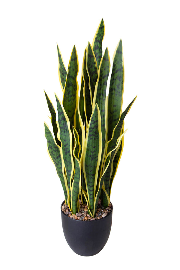 sconto Plante artificielle Sanseveria avec pot de 78 cm