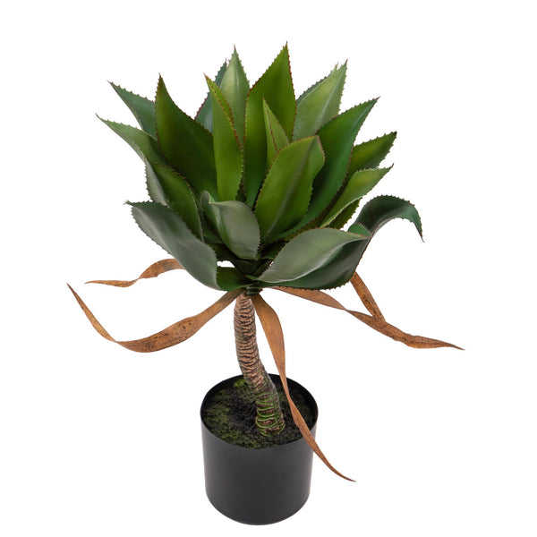 online Plante d'agave artificielle H71 cm avec pot
