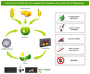 Bioetanolo 12 Litri Combustibile Ecologico per Camini Caminetti Biocamini-4