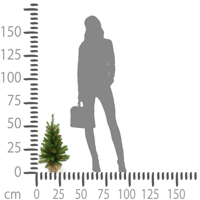 Mini Albero di Natale Artificiale H65 cm Abete con Pigne 65 Tips Verde-3