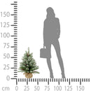 Mini Albero di Natale Artificiale H80 cm Abete innev.con Pigne 115 Tips Verde-3